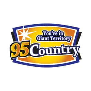 Listen to WQNZ Country 95.1 FM live online